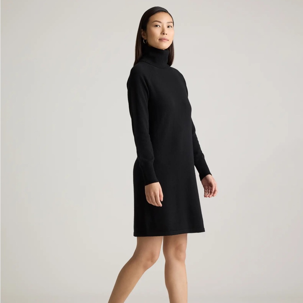 Quince Cashmere Turtleneck Dress